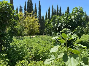 Akal Ferme en Permaculture