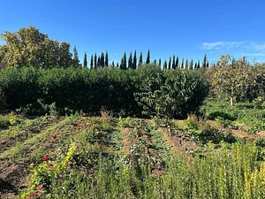 Akal Ferme en Permaculture