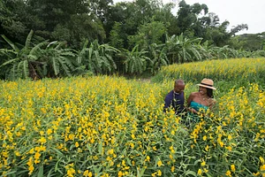 Ridge to Reef Farm