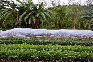 Ridge to Reef Farm