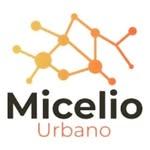 Micelio Urbano