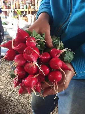 Jody's Farms