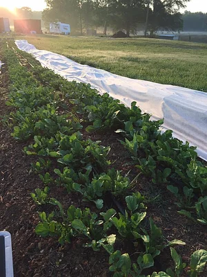 Jody's Farms