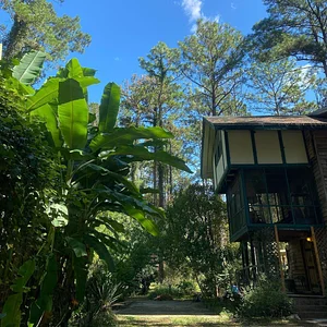 Treehouse Permaculture