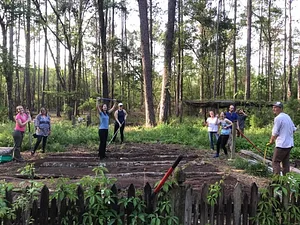 Treehouse Permaculture