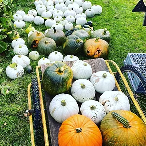 Ridgedale Farm