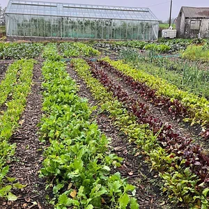 Ridgedale Farm