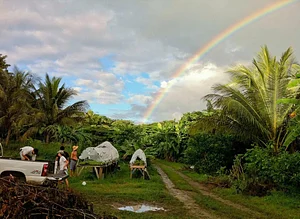 Ridge to Reef Farm