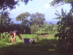 Kolea Farm