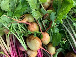 Kolea Farm