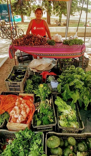 Feria Agroecológica de Córdoba 9