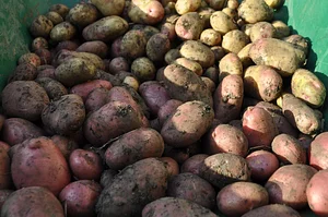 Tap o' Noth Farm