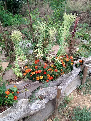 Belentepe Permaculture Practice and Wildlife Farm