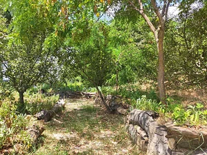 Belentepe Permaculture Practice and Wildlife Farm