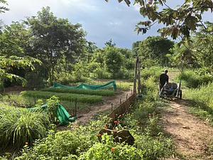 GreenShoots Agroecology Community Centre
