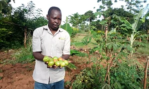 Umuntu Movement Uganda