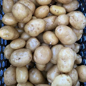 Hildaberry Permaculture Farm & Nursery