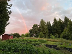 Hildaberry Permaculture Farm & Nursery