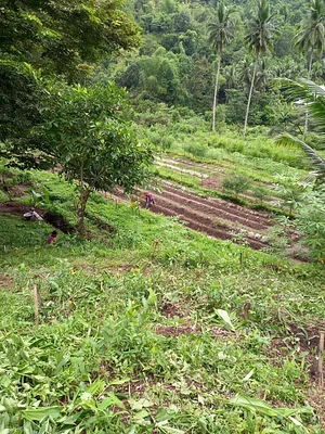 Green Warrior Eco Farm