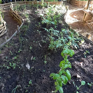 Green Warrior Eco-Farm