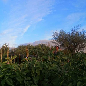 El Campanario - Finca Agroecológica