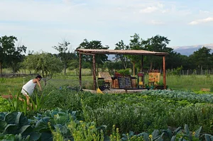 El Campanario - Finca Agroecológica