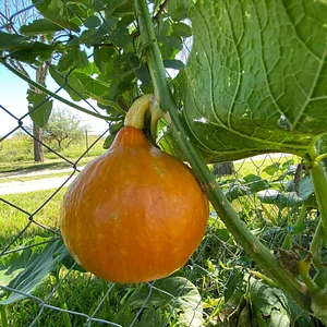 El Campanario - Finca Agroecológica