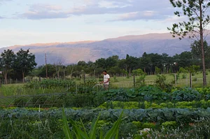 El Campanario - Finca Agroecológica