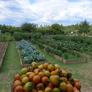 El Campanario - Finca Agroecológica