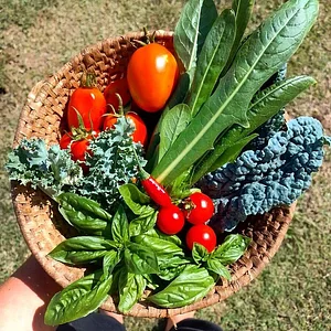 El Campanario - Finca Agroecológica