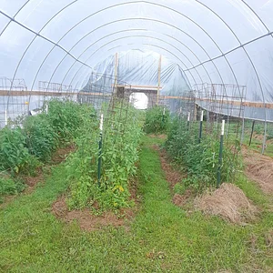 Laughing Frog Farm