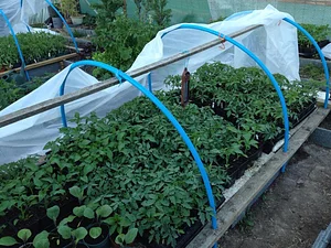 Seed Co-operative