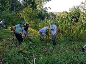 SAF Caminhos da Floresta 6