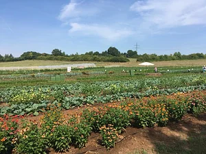 Seed Co-operative