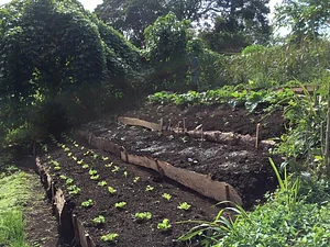 Finca Agroecologica La Flor