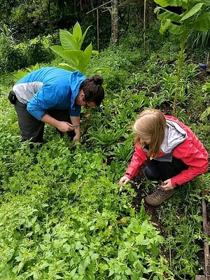 Finca Agroecologica La Flor