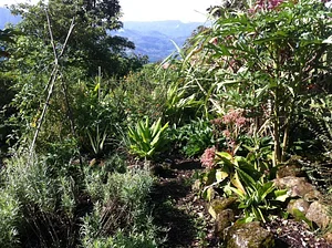 Finca Agroecologica La Flor