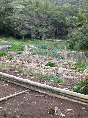 Finca Agroecologica La Flor
