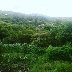 Finca Agroecologica La Flor