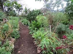 Finca Agroecologica La Flor