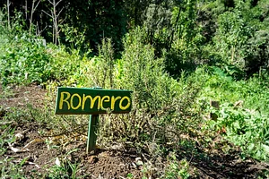 Finca Agroecologica La Flor