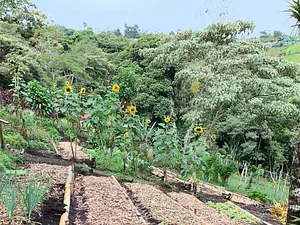 Finca Agroecologica La Flor
