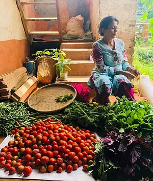 Three Trees Permaculture