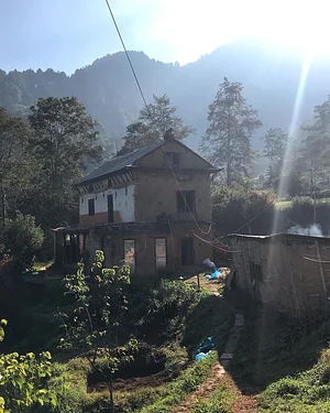Three Trees Permaculture