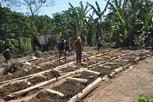 Formação Agrofloresta 4