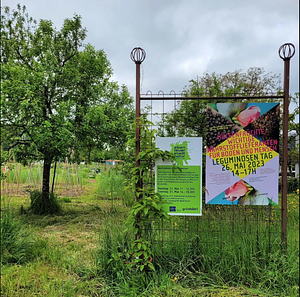 Grünhölzli - Community garden