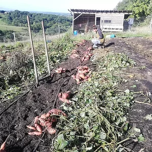Ferme du Higas