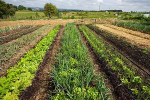 Ferme du Higas
