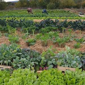 Ferme du Higas
