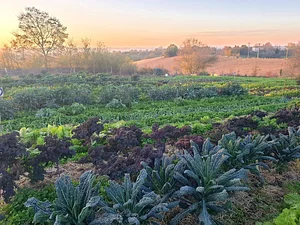 Ferme du Higas